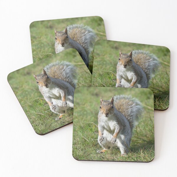 Item preview, A grey squirrel stands in the grass designed and sold by RumRagephotos.