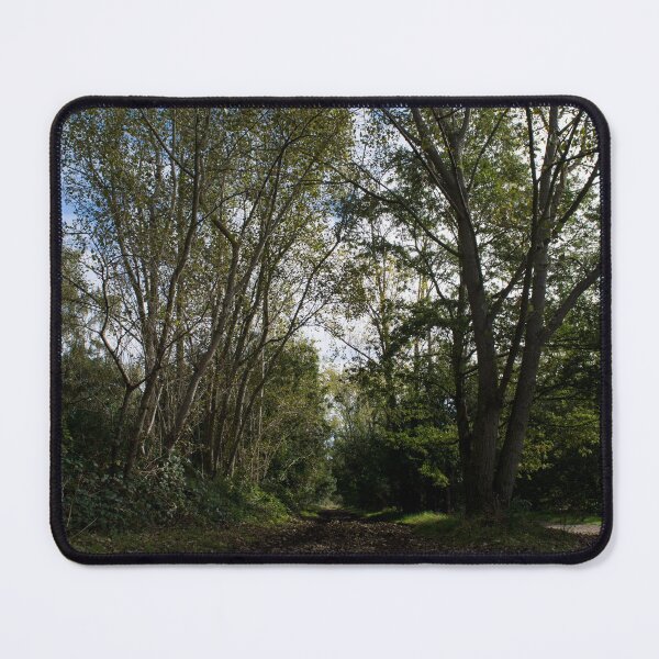 Item preview, Autumnal bridlepath on Wimbledon Common designed and sold by RumRagephotos.