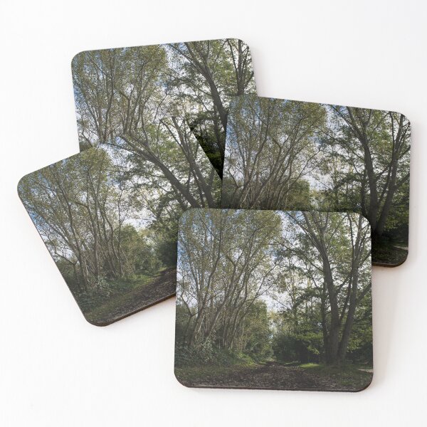 Item preview, Autumnal bridlepath on Wimbledon Common designed and sold by RumRagephotos.