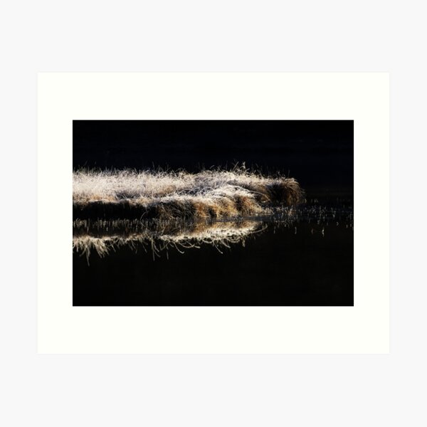 First light Art Print