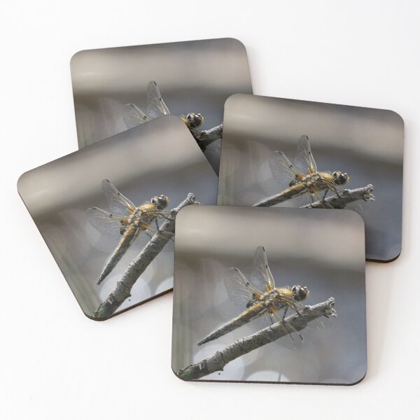 Item preview, Four Spotted Chaser Dragonfly on a branch designed and sold by RumRagephotos.