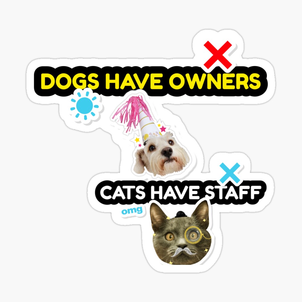 DOGS HAVE OWNERS CATS HAVE STAFF FUNNY PET MEME T-SHIRT/STICKER DOGS HAVE OWNERS CATS HAVE STAFF FUNNY PET MEME T-SHIRT/STICKER