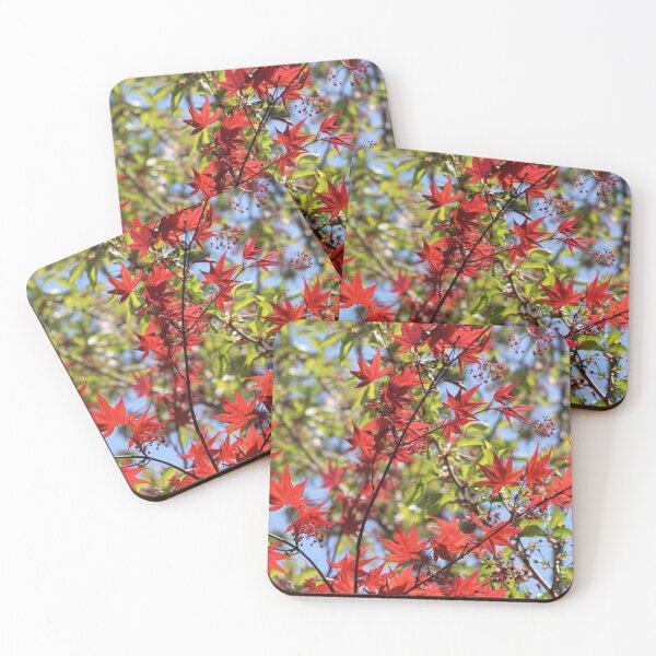 Item preview, Autumn Color Red Ornamental Maple Tree Leaves designed and sold by JariHawk.