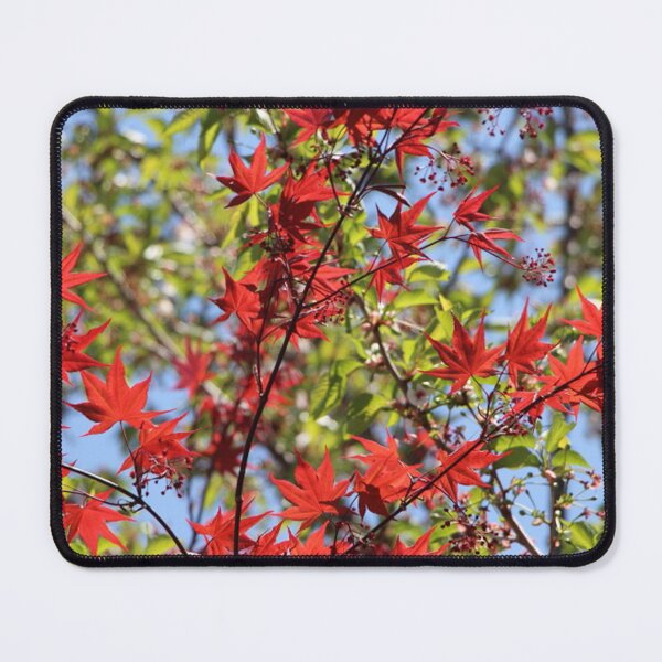 Item preview, Autumn Color Red Ornamental Maple Tree Leaves designed and sold by JariHawk.