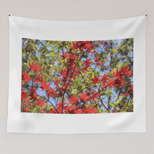 Item preview, Autumn Color Red Ornamental Maple Tree Leaves designed and sold by JariHawk.