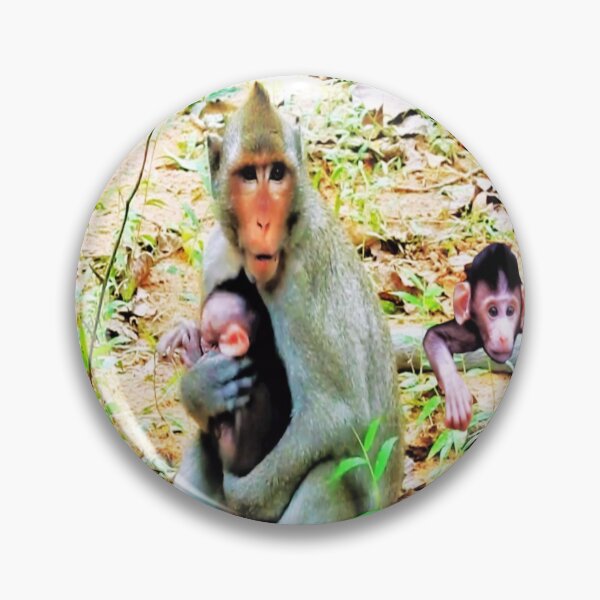 Artikelvorschau, Affenbabys in der Nähe der Mutter entworfen und verkauft von kristalcurt.