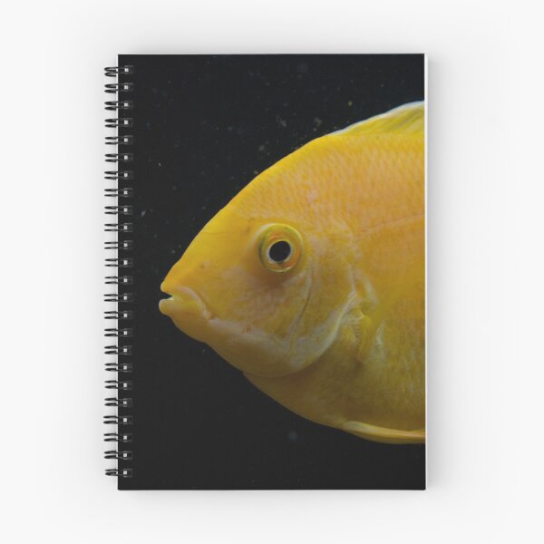 Artikelvorschau, Golden Severum Cichlid fish entworfen und verkauft von RumRagephotos.