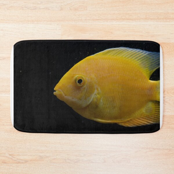 Artikelvorschau, Golden Severum Cichlid fish entworfen und verkauft von RumRagephotos.