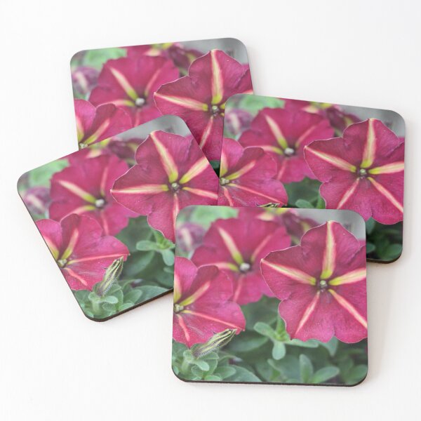 Item preview, Pink and Yellow Striped Petunia Flowers designed and sold by JariHawk.