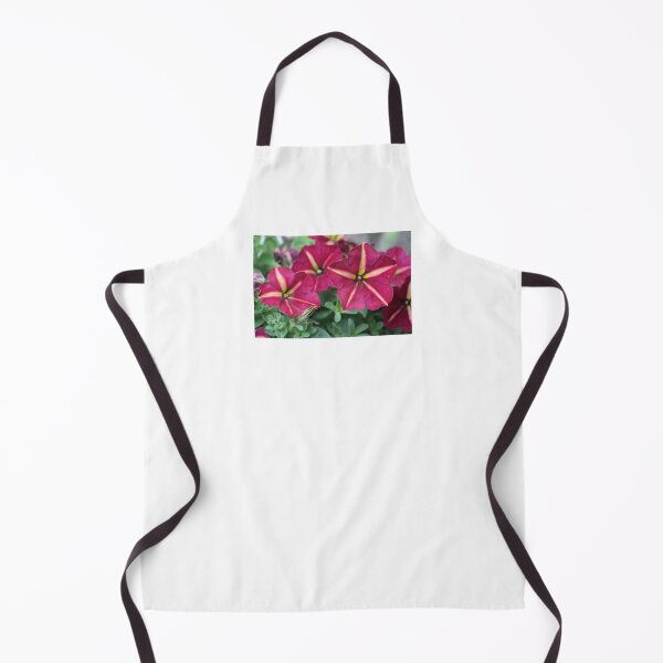 Item preview, Pink and Yellow Striped Petunia Flowers designed and sold by JariHawk.