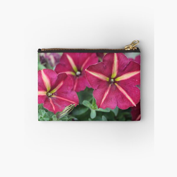 Item preview, Pink and Yellow Striped Petunia Flowers designed and sold by JariHawk.