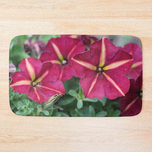 Item preview, Pink and Yellow Striped Petunia Flowers designed and sold by JariHawk.