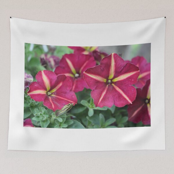 Item preview, Pink and Yellow Striped Petunia Flowers designed and sold by JariHawk.