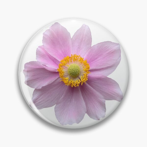 Item preview, Pink Anemone Flower Still Life Floral Photography designed and sold by CottoVerdi.