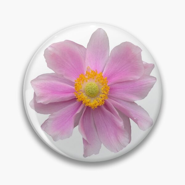Item preview, Pink Anemone Flower Still Life Floral Photography designed and sold by CottoVerdi.