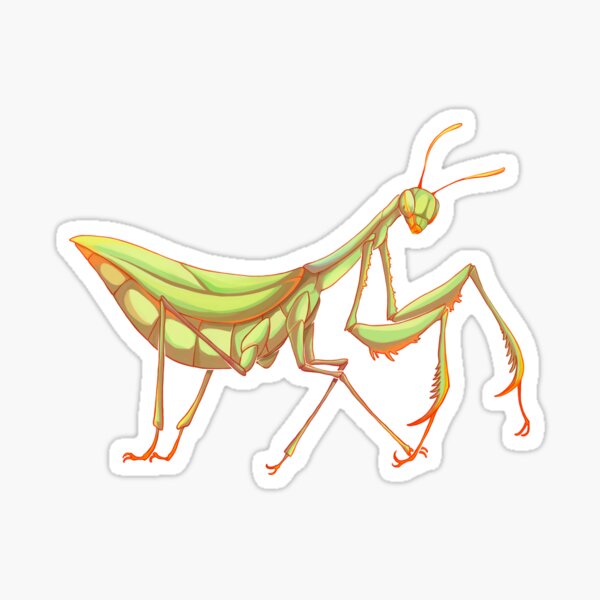 Mantis Sticker