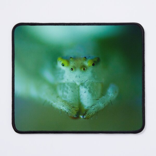 Item preview, Albino Spider | Crab Spider | Flower Spider Closeup Macro Photo designed and sold by shi-RLY.