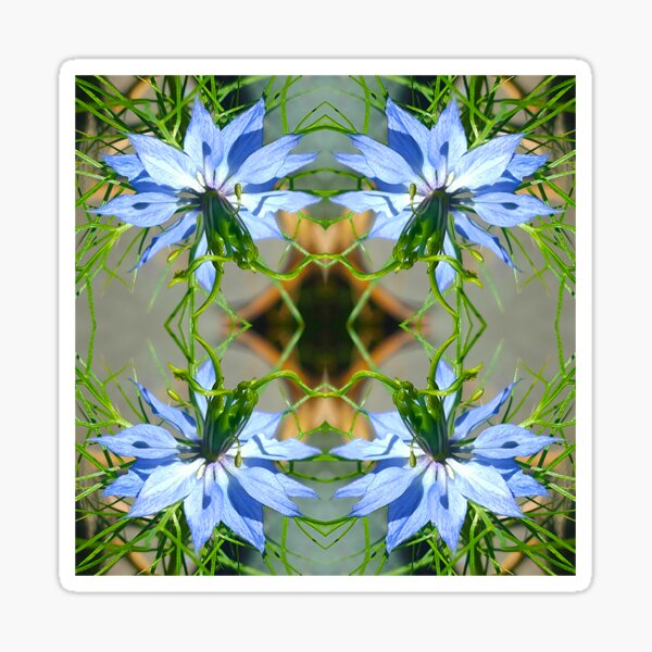 Flower Pattern No. 2 (Love in a Mist) Sticker