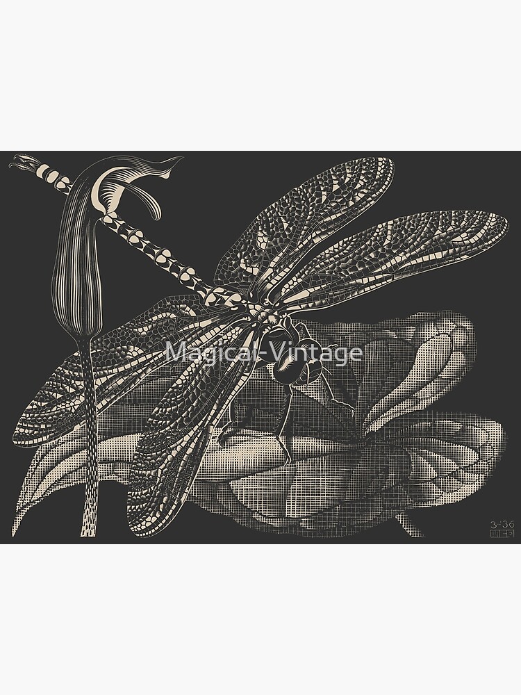 Disover M.C. Escher - Libellula (dragonfly), 1936 Premium Matte Vertical Poster