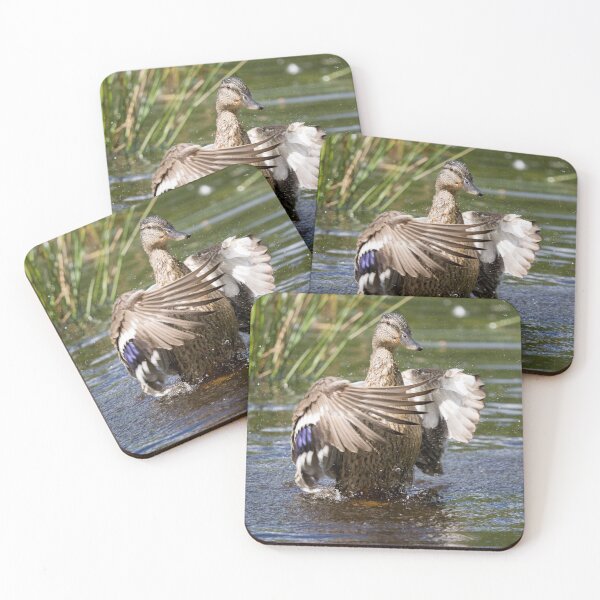Item preview, Female Mallard duck splashes in a pond designed and sold by RumRagephotos.
