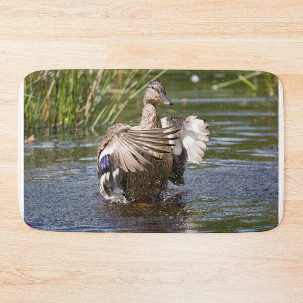 Item preview, Female Mallard duck splashes in a pond designed and sold by RumRagephotos.