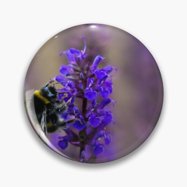 Artikelvorschau, A bumble bee on a stalk of flowering sage entworfen und verkauft von RumRagephotos.