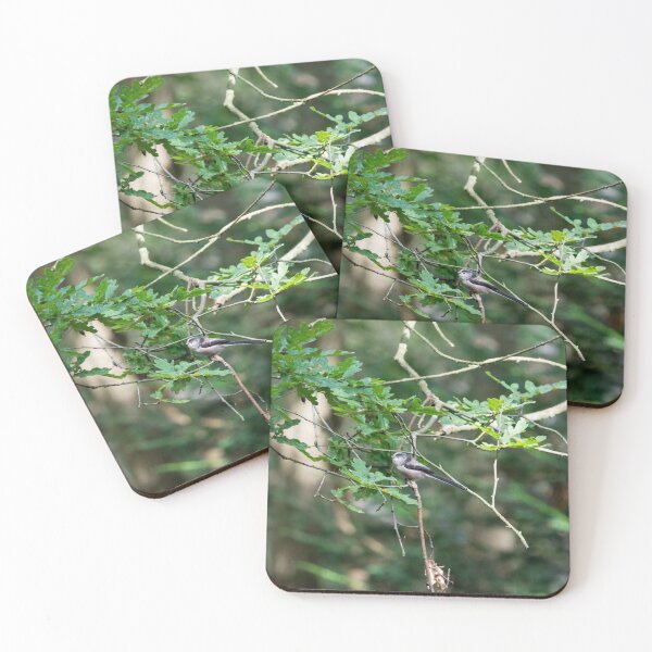 Item preview, A Long Tailed Tit perches on a tree branch designed and sold by RumRagephotos.