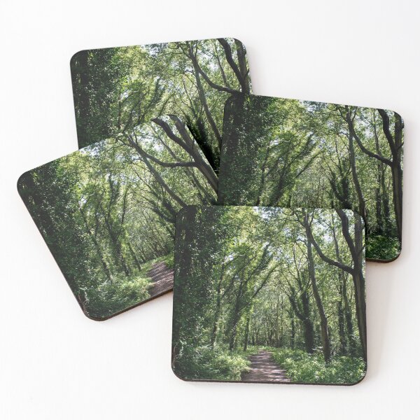 Item preview, A tree lined pathway on Wimbledon Common designed and sold by RumRagephotos.