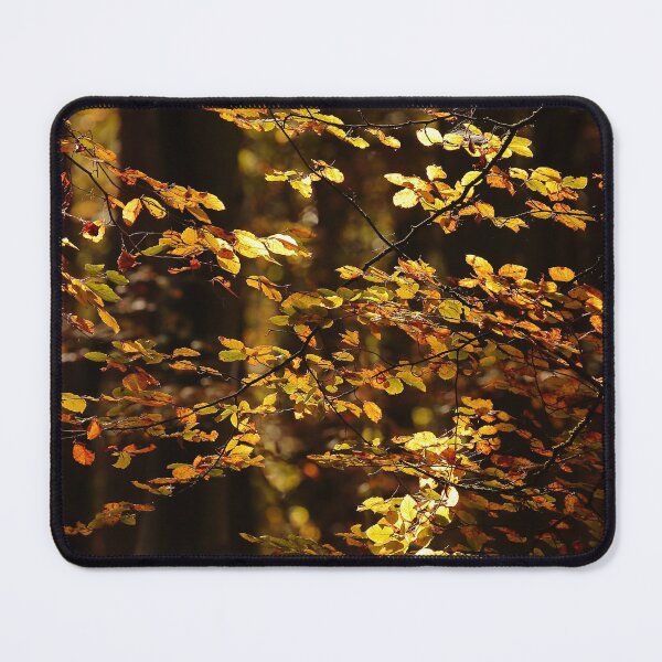 Item preview, Digital Photograph of sunlit autumn leaves designed and sold by SimonJohnson1.