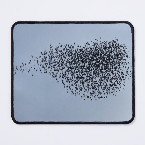 Item preview, Flock formations designed and sold by GreyFeatherPhot.