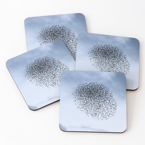 Item preview, Starlings v sparrowhawk I designed and sold by GreyFeatherPhot.