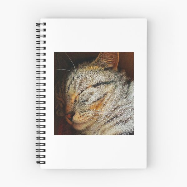 Item preview, Sleeping Cat designed and sold by Graz-Photos.