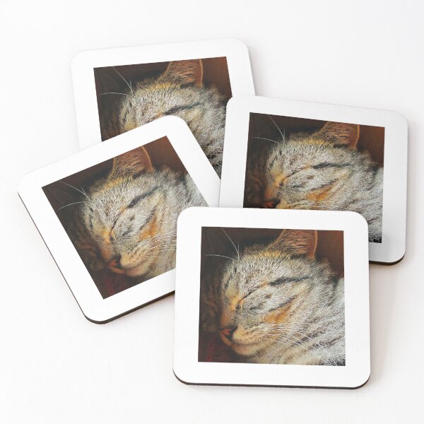 Item preview, Sleeping Cat designed and sold by Graz-Photos.