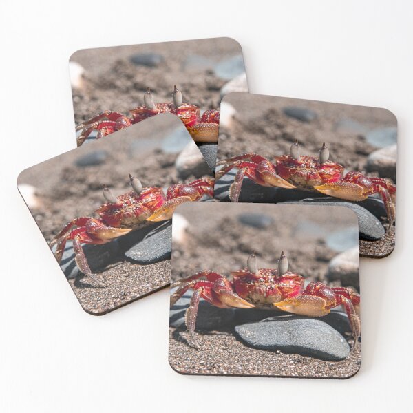 Item preview, Beach Crab designed and sold by phillipmorris.