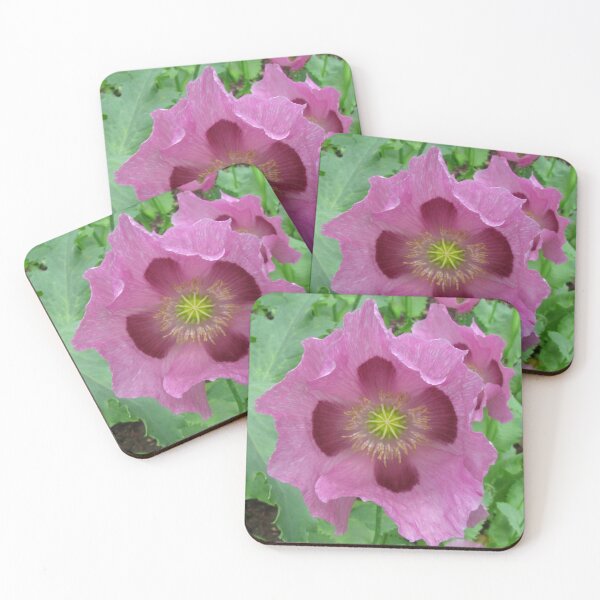 Item preview, Pink Breadseed Poppy designed and sold by Betty Mackey.