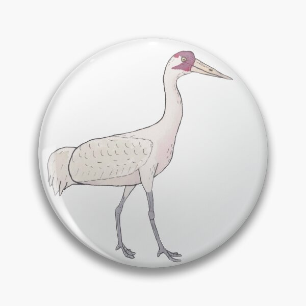 Item preview, Whooping Crane bird species watercolor art designed and sold by TheWaterBirds.