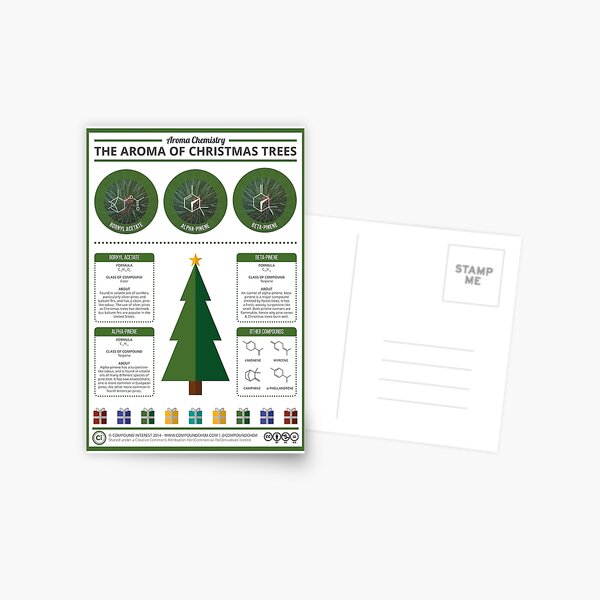 The Aroma of Christmas Trees Postcard