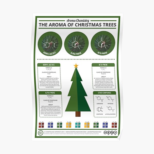 The Aroma of Christmas Trees Poster