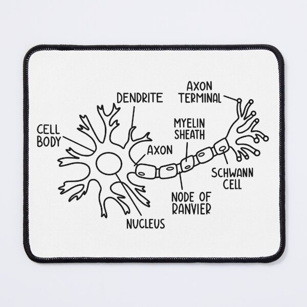 Item preview, Hand Drawn Neuron Diagram In Black designed and sold by SofiaSava01.