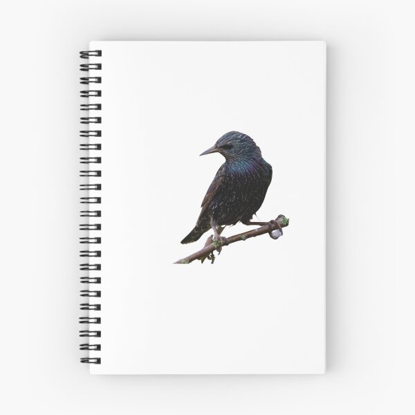 Item preview, European Starling designed and sold by VarietyYOU.