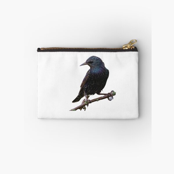 Item preview, European Starling designed and sold by VarietyYOU.
