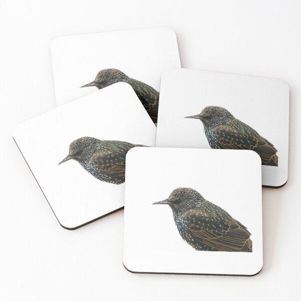 Item preview, Chubby European Starling designed and sold by VarietyYOU.