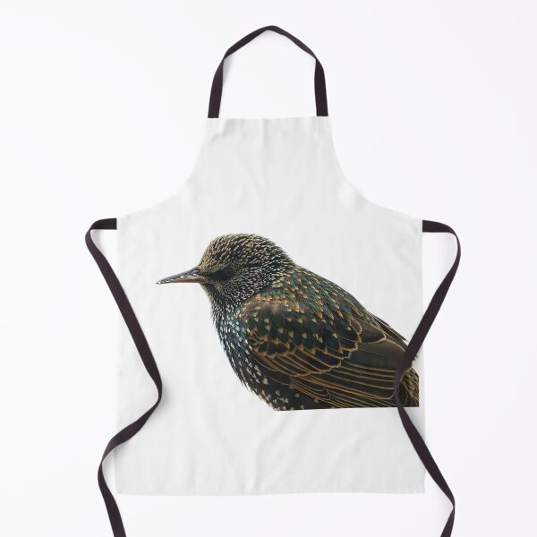 Item preview, Chubby European Starling designed and sold by VarietyYOU.