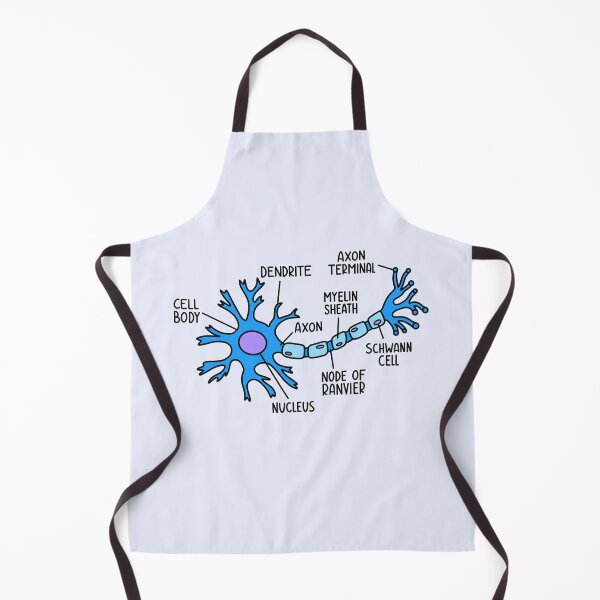 Item preview, Hand Drawn Neuron Diagram designed and sold by SofiaSava01.
