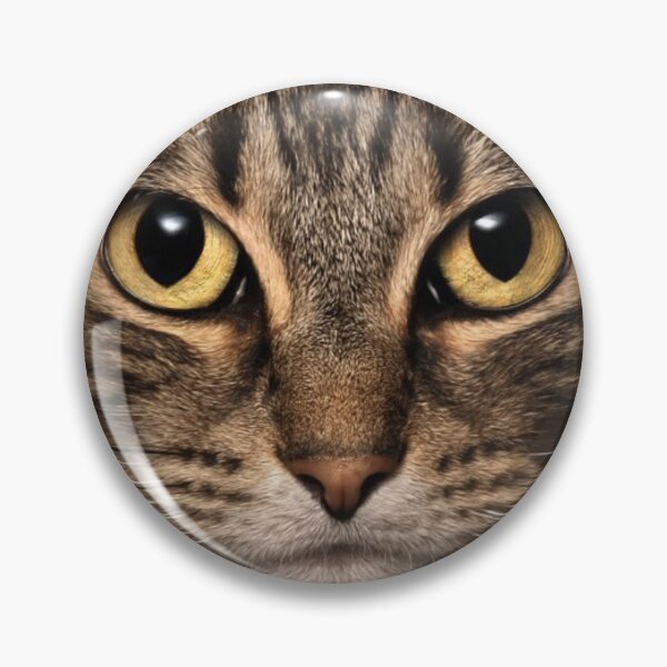 Artikelvorschau, Tabby Cat entworfen und verkauft von joyhopefreeme.