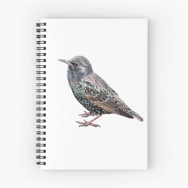 Item preview, Starling designed and sold by VarietyYOU.