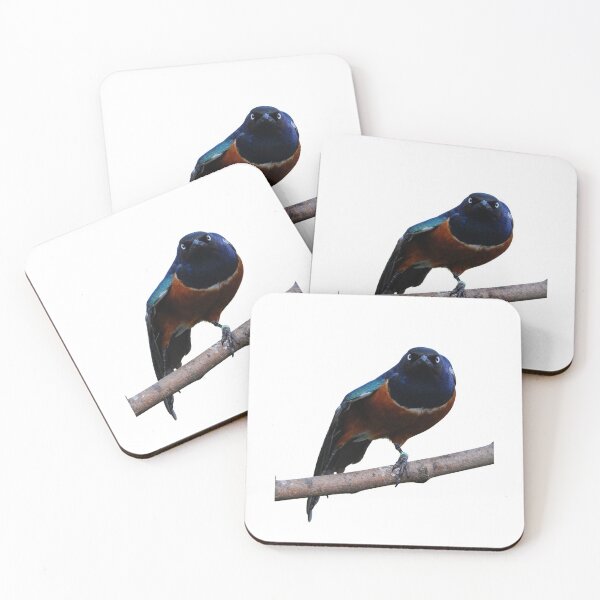 Item preview, Weird European Starling designed and sold by VarietyYOU.