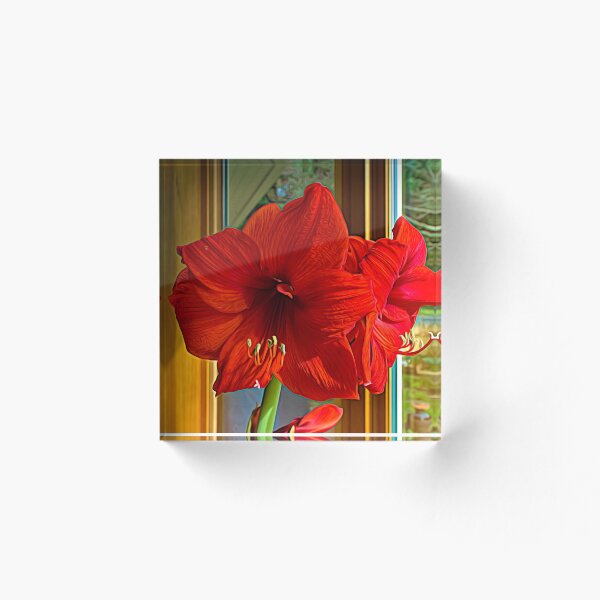 Artikelvorschau, Urlaubsvorbote: Rote Amaryllis entworfen und verkauft von KateMcCSeattle.