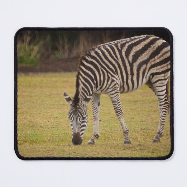 Item preview, Grazing  designed and sold by D-GaP.