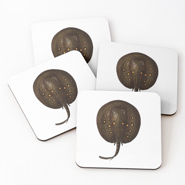 Item preview, Freshwater stingray - For All freshwater stingray Lovers designed and sold by AquariumExp.